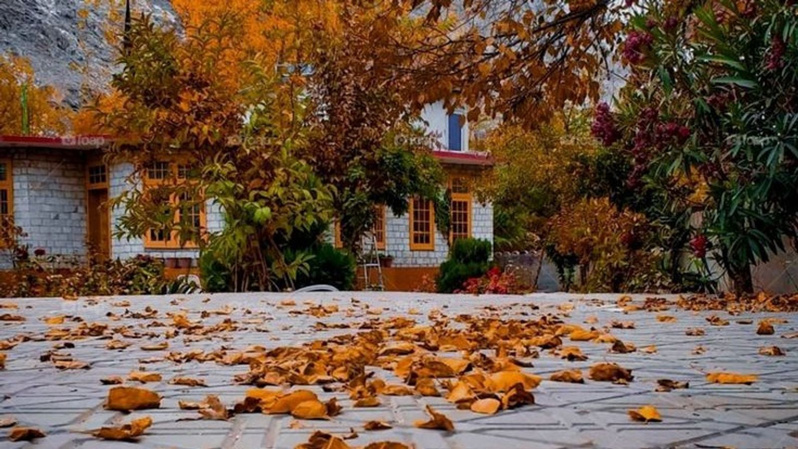 Autumn in Pakistan: Hunza-Skardu-Islamabad - Image - 18180