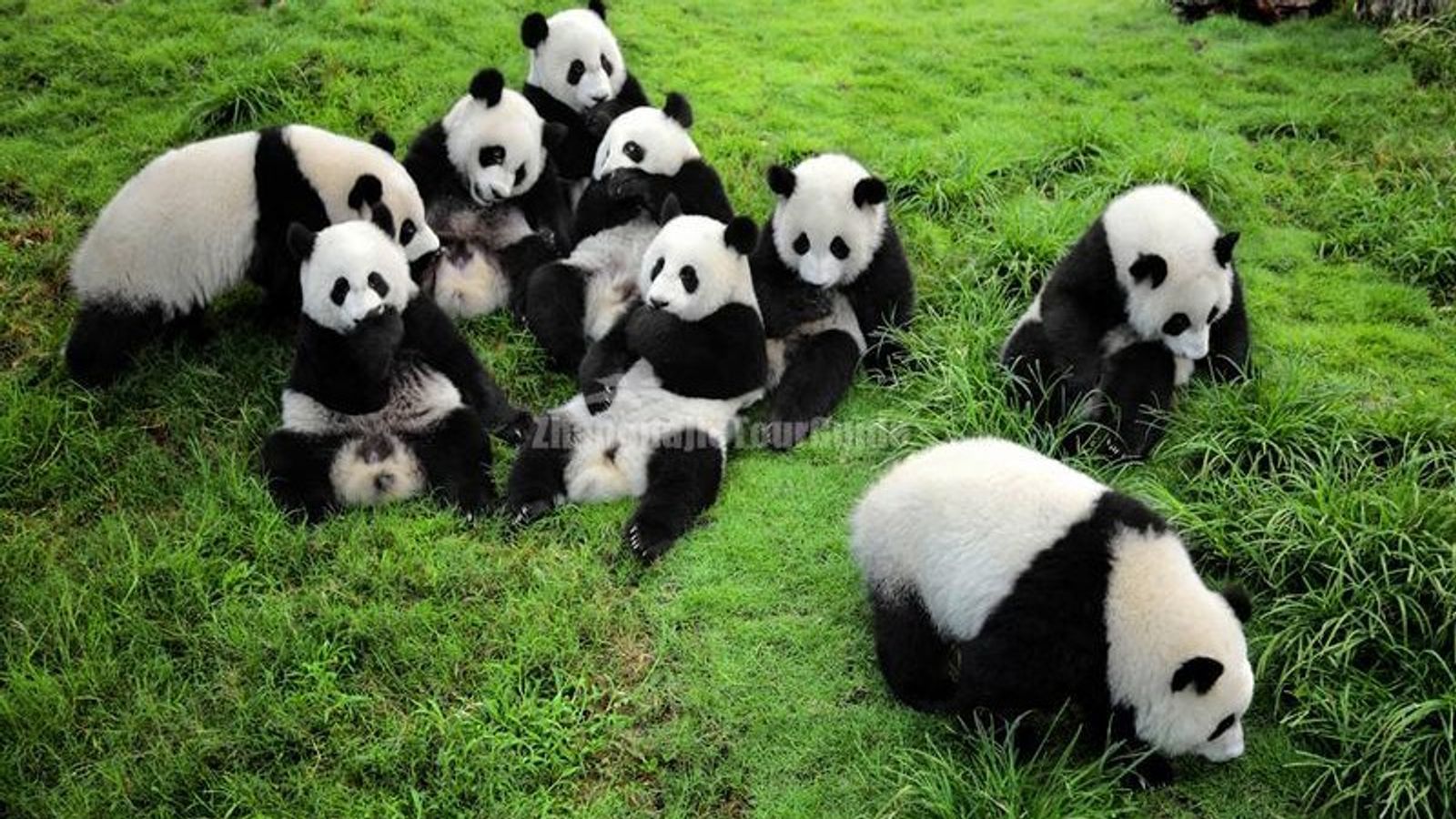 CHENGDU - CHONGQING
