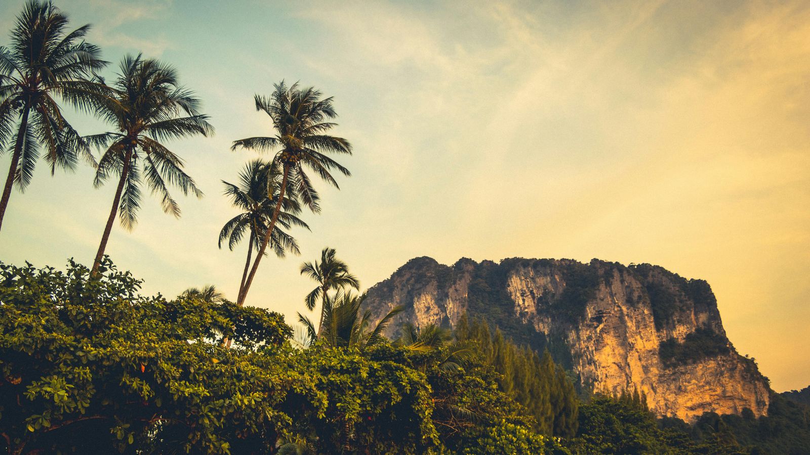 SIC, Wonderfull Thailand (Bangkok-Pattaya) - Image - 4434