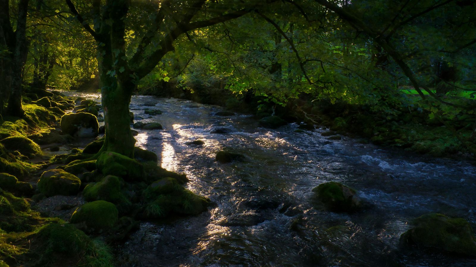 Soulful Ireland for Women - Image - 12047