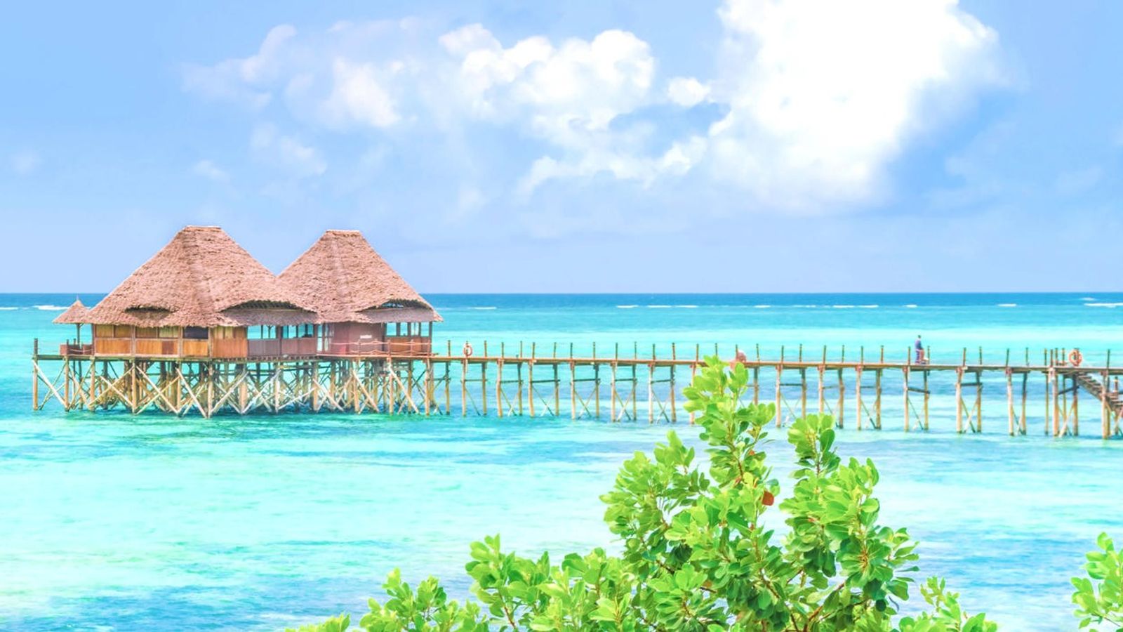 12 DAYS TANZANIA WILDLIFE TO ZANZIBAR BEACH ESCAPE - Image - 7625