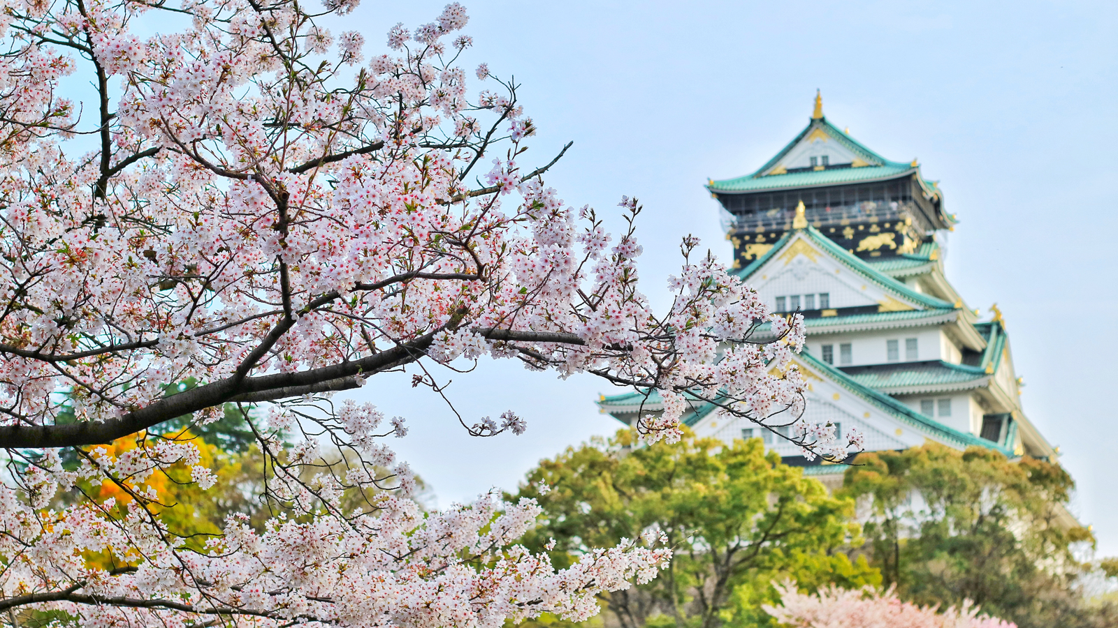 NHẬT BẢN 2026: TOKYO- NÚI PHÚ SĨ-NAGOYA-KYOTO- OSAKA - Bay Vietjet - Image - 3689