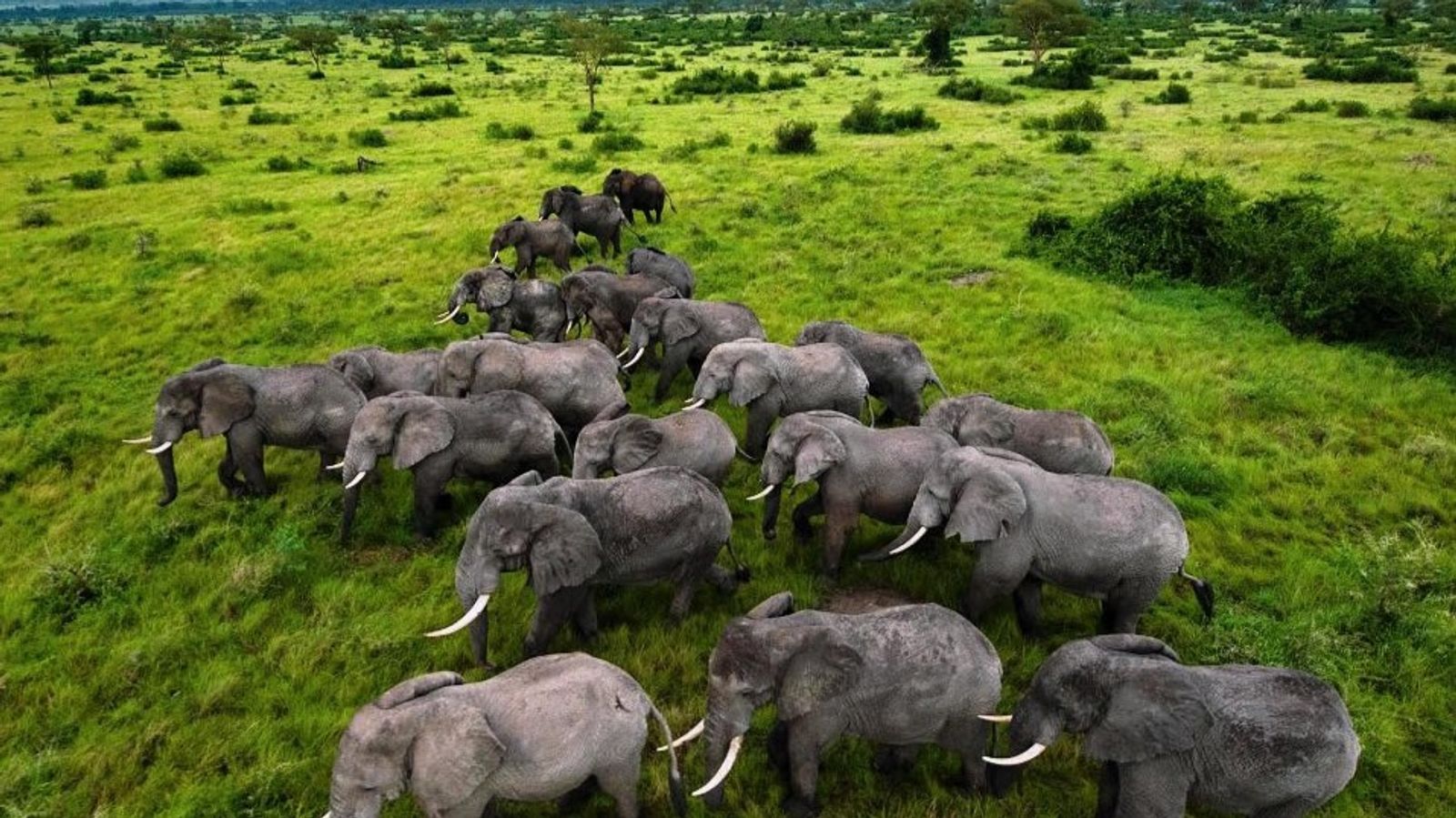 6 Days Uganda Adventure Safari