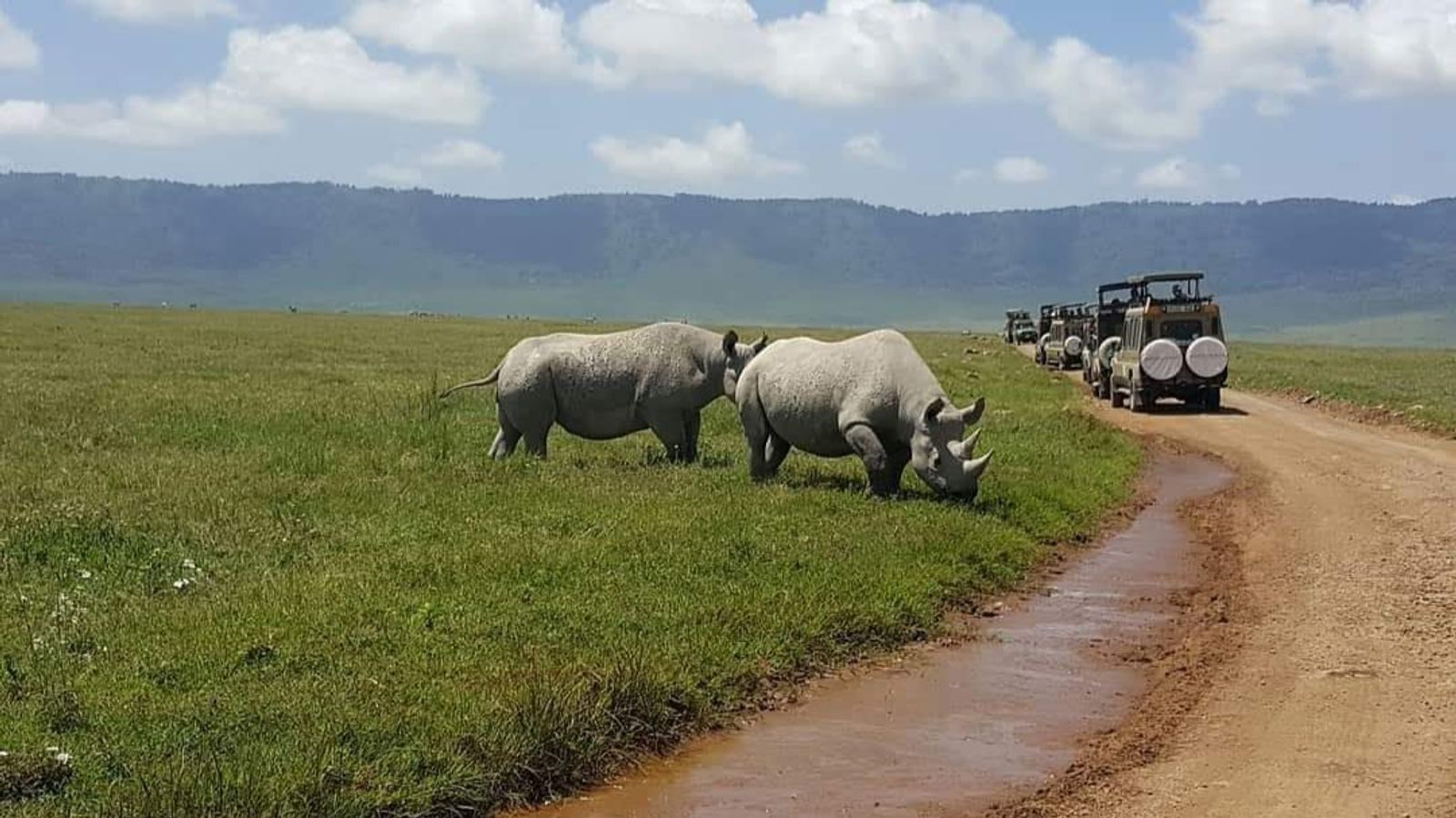 7 DAYS BIG FIVE SAFARI EXPERIENCE - Image - 7735