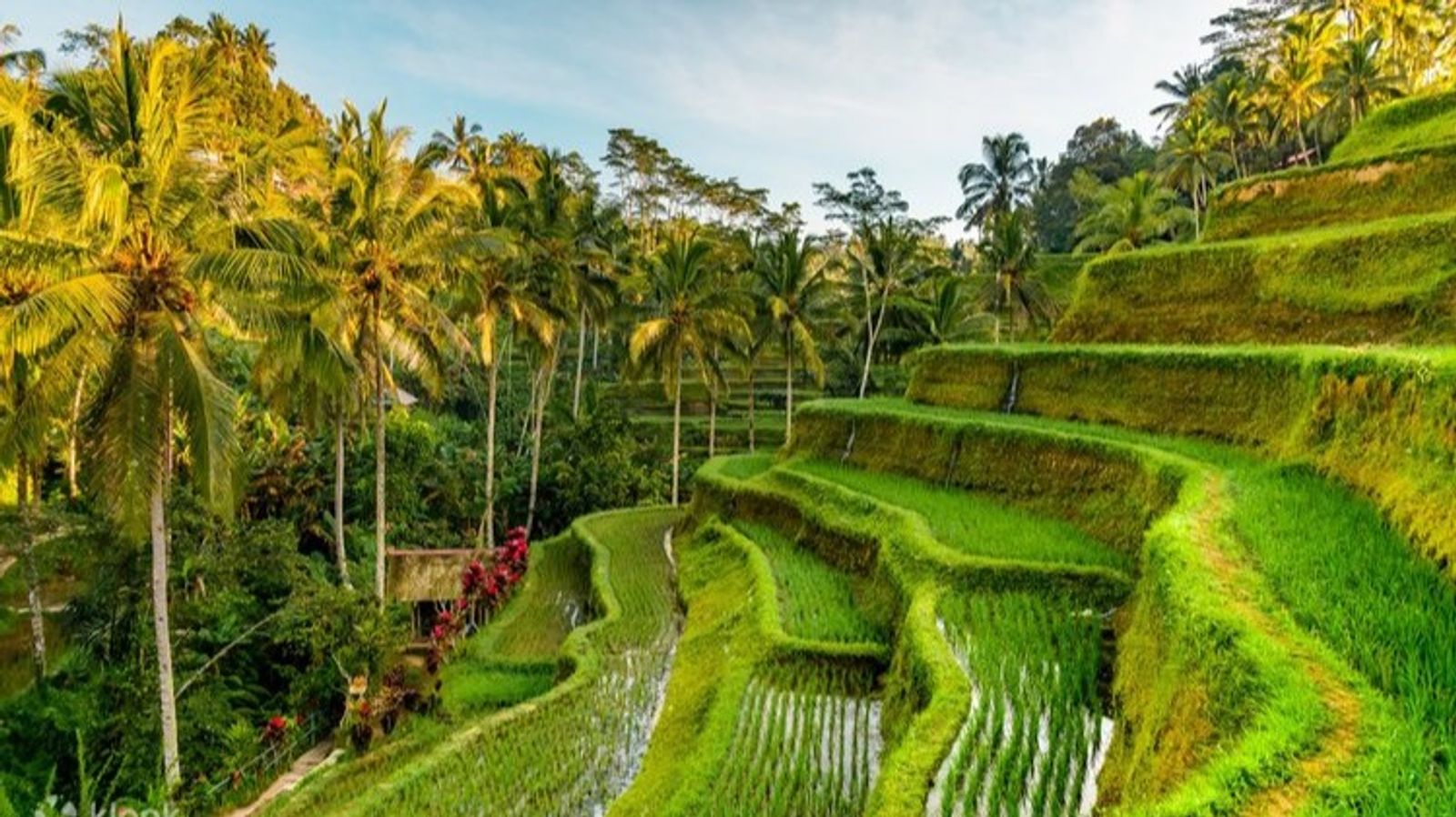 BALI 4 NGÀY 3 ĐÊM - Image - 5045