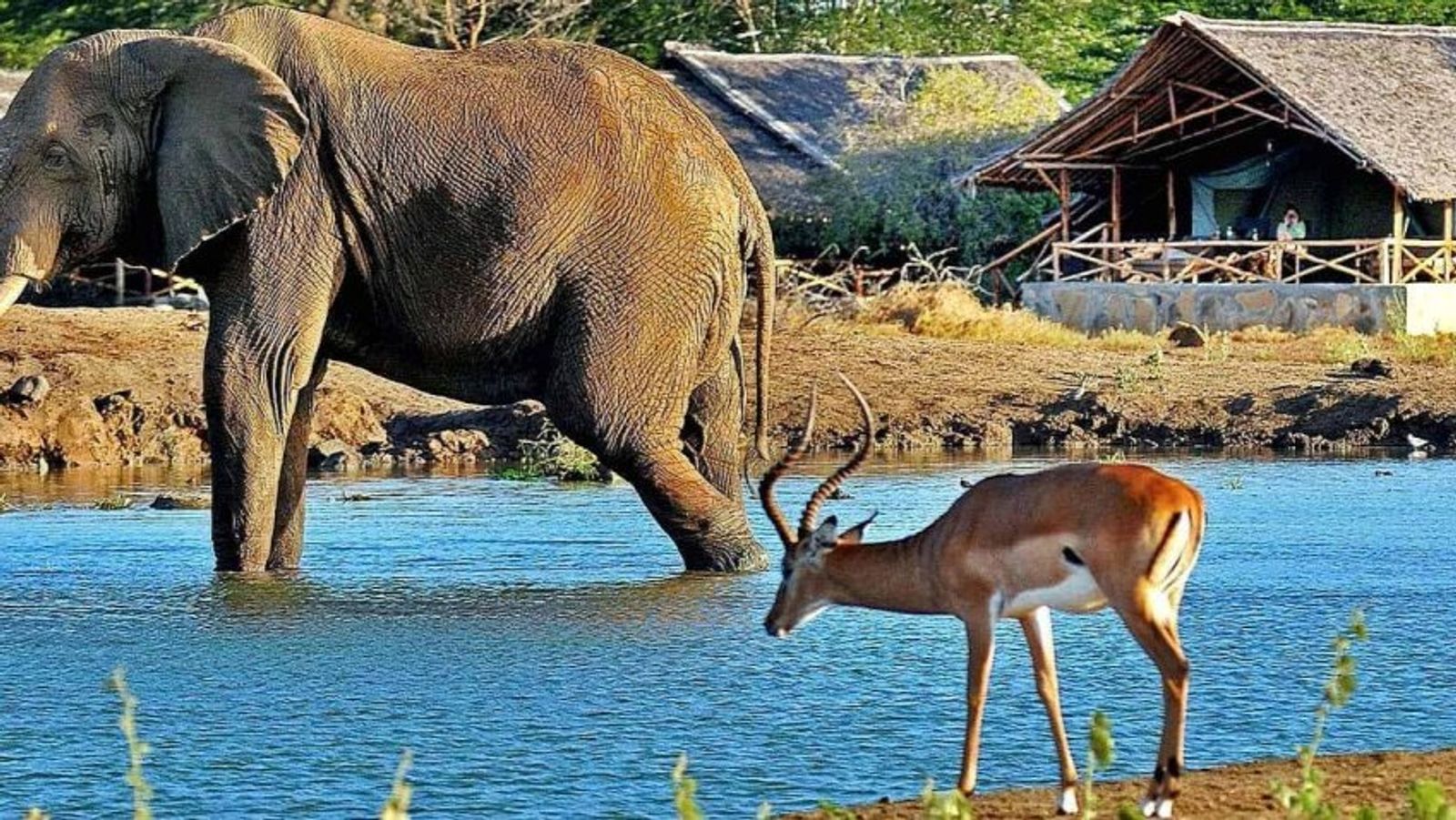 11 Days Romantic Kenya Safari & Diani Beach Getaway - Image - 9605