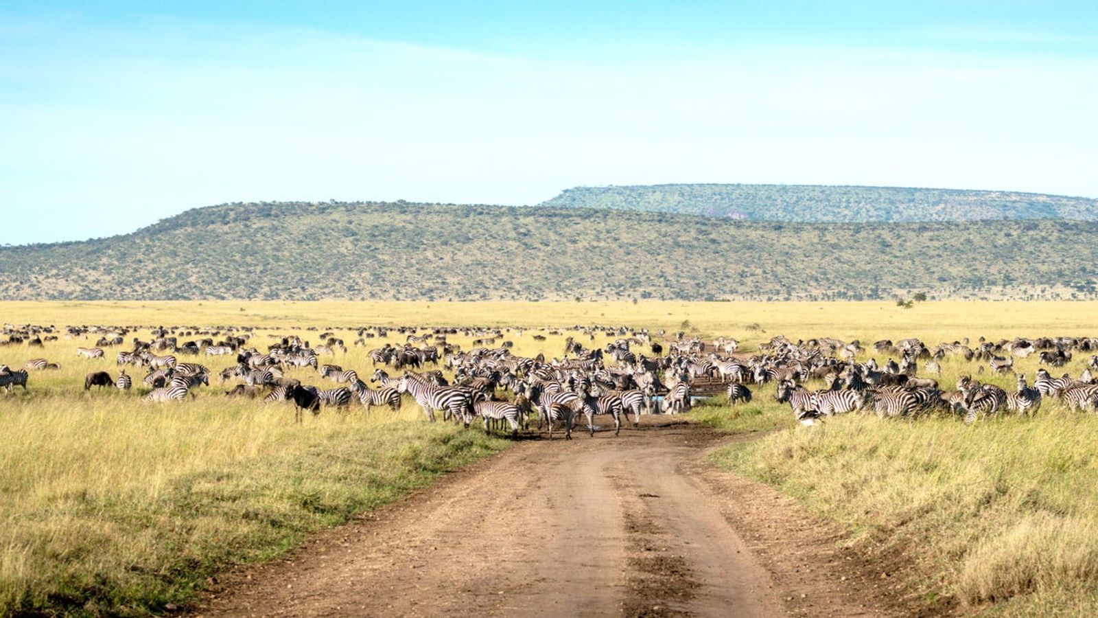 17 Days Ultimate Northern Safari and Trekking (Tanzania) - Image - 11928
