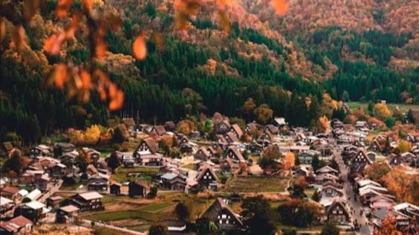 5D SHIRAKAWA-GO (GOLDEN ROUTE) - Image - 20009