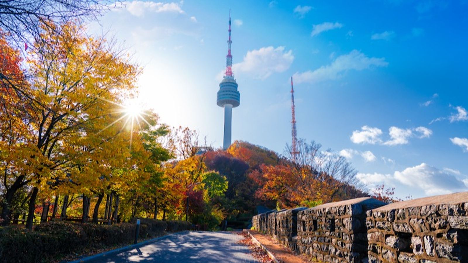 BUSAN - SEOUL - Image - 5589