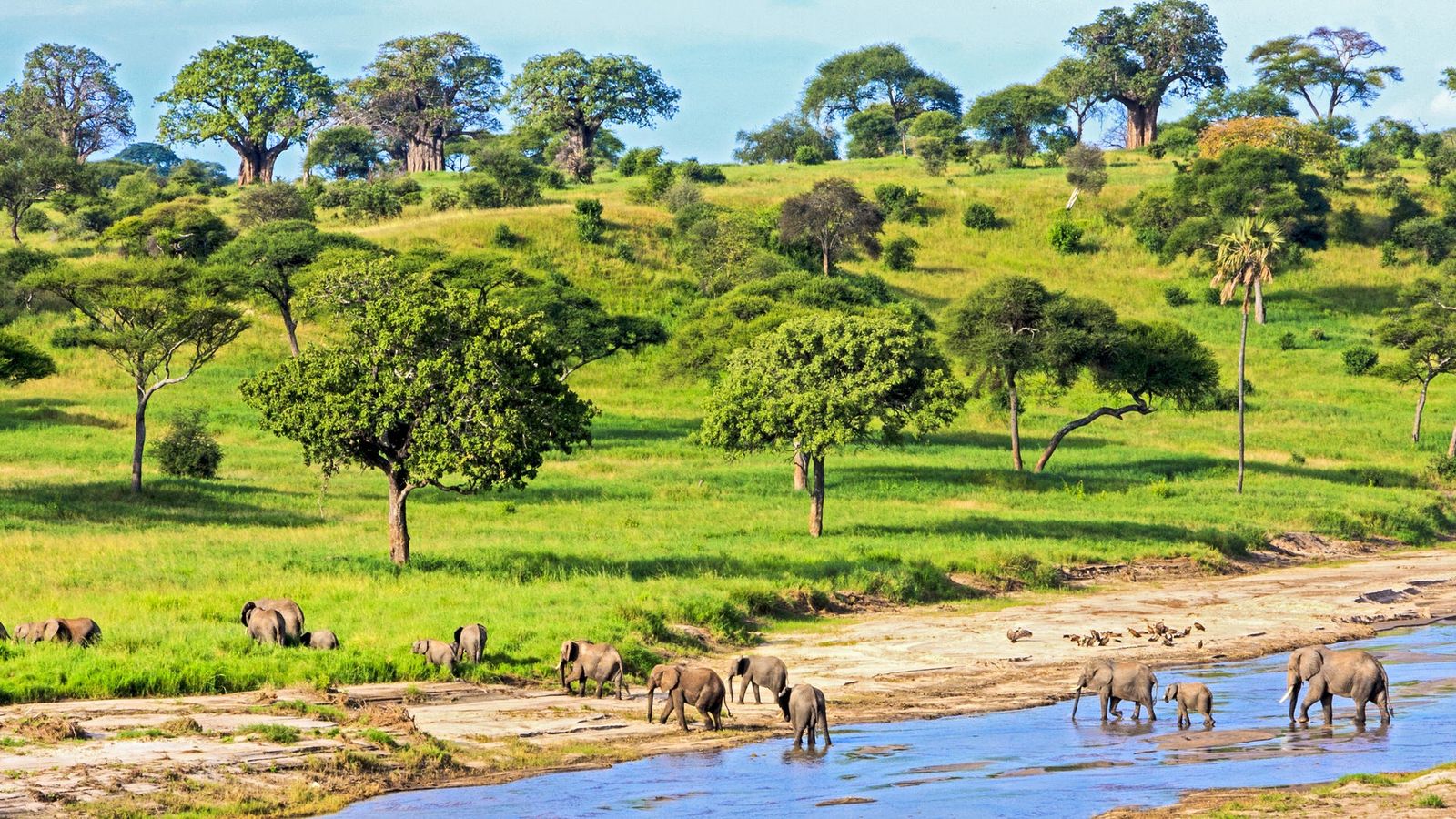 14 DAYS LUXURY BUSH TO ZANZIBAR BEACH SERENITY - Image - 8999