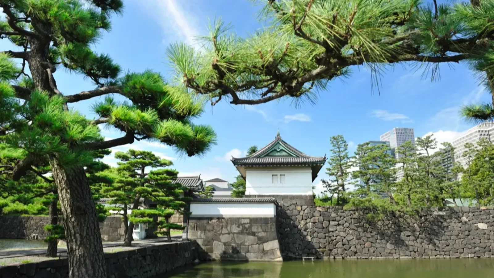 Tokyo Japan 5D4N
