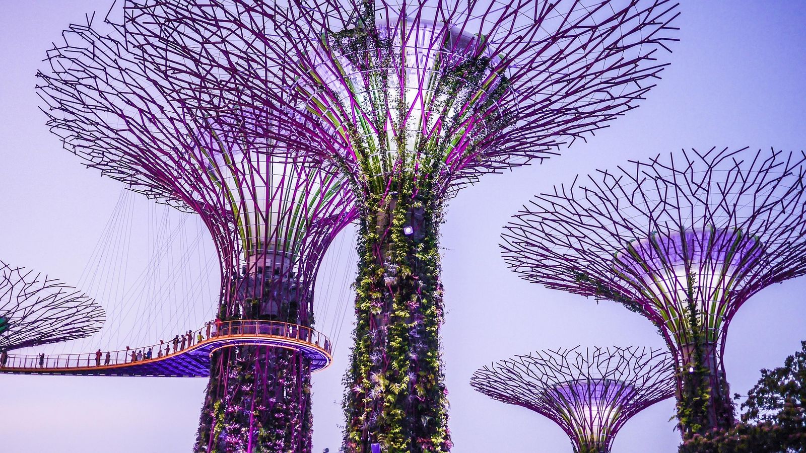 SINGAPORE 4 NGÀY 3 ĐÊM - Image - 4883