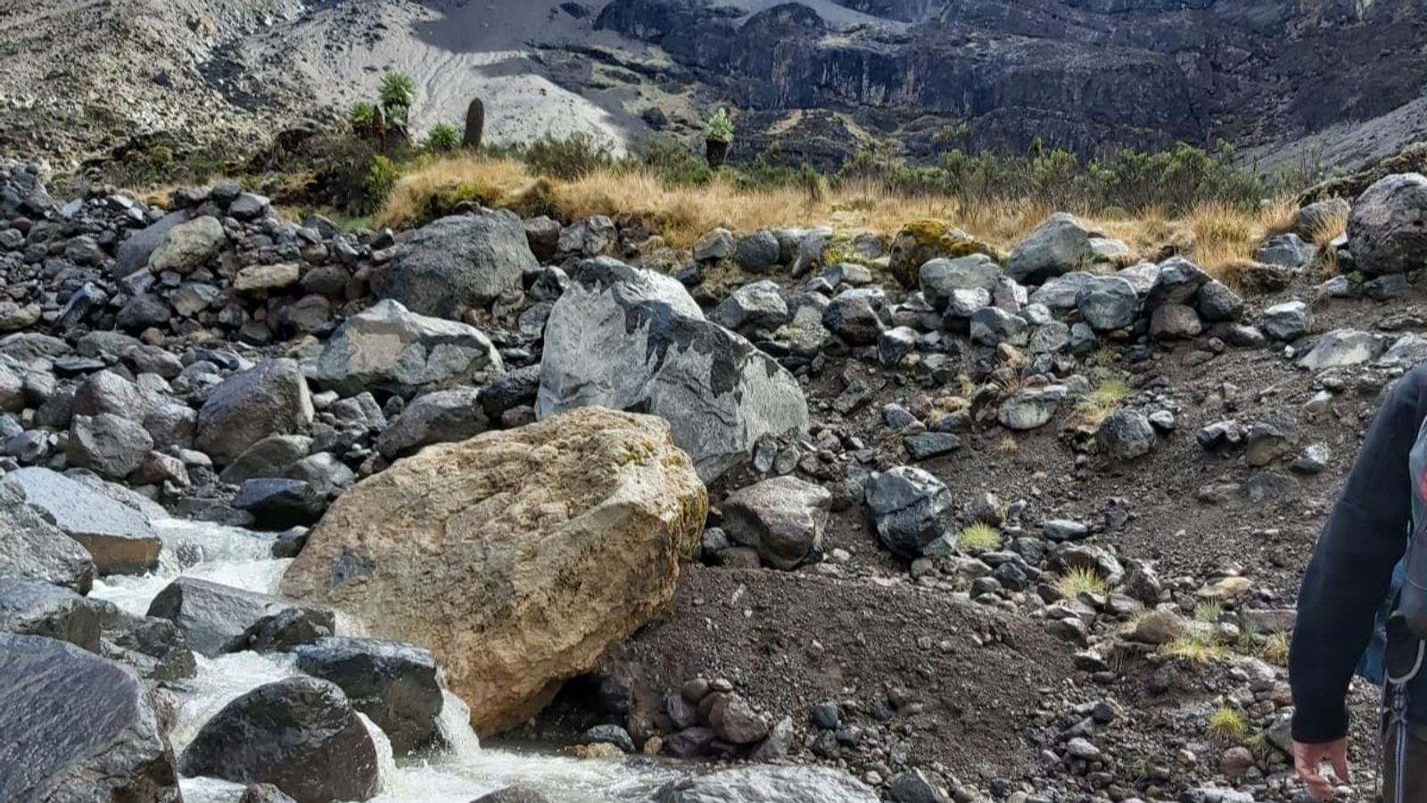 9 Days Mount Kilimanjaro Trekking – Lemosho Route - Image - 7614