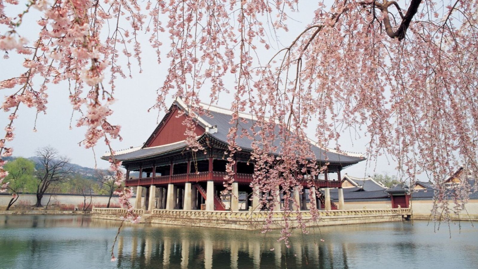 KHÁM PHÁ HÀN QUỐC 6N5Đ - BUSAN - SEOUL - NAMI - Image - 25723