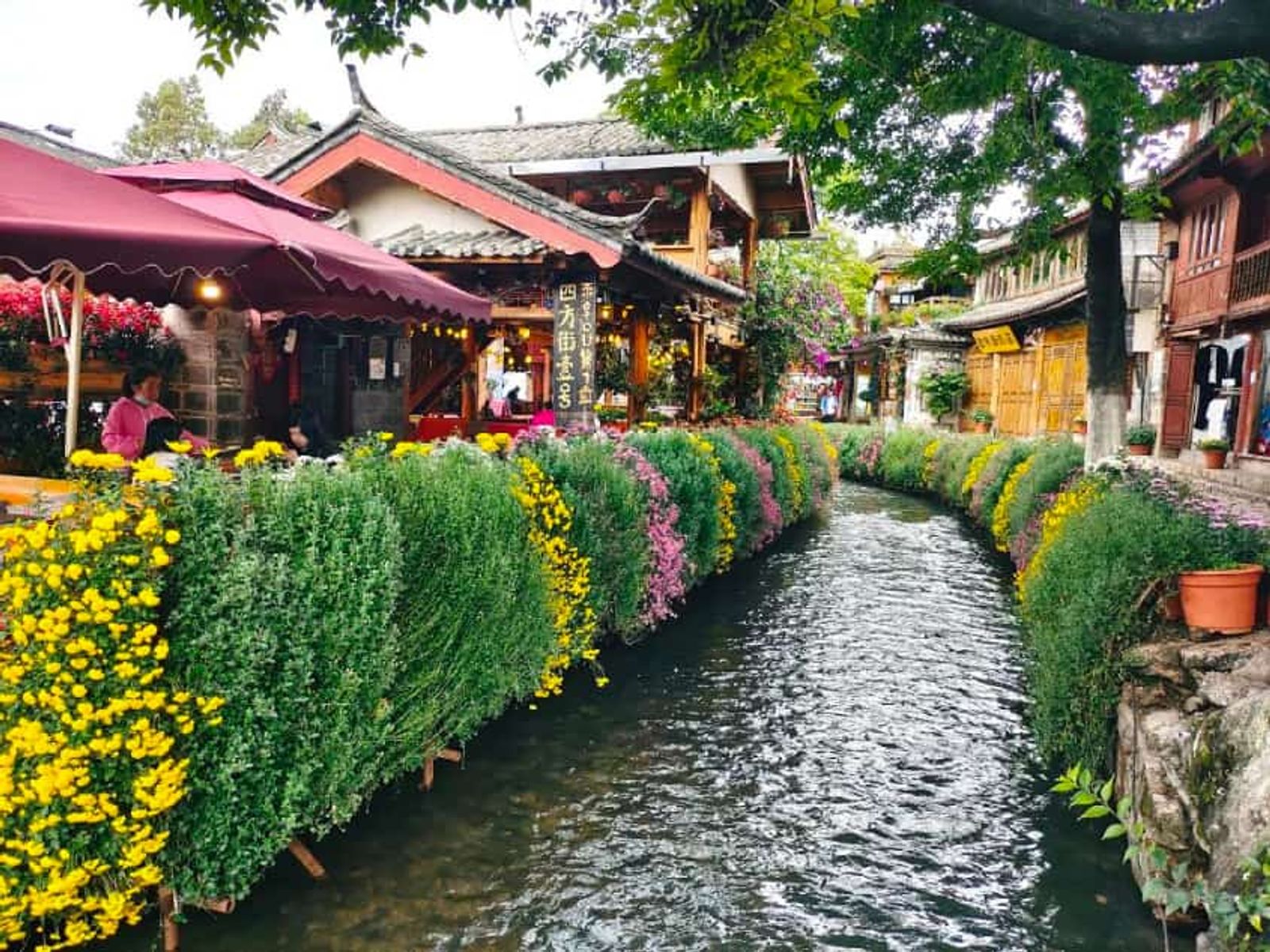 HÀ NỘI – LỆ GIANG – SHANGRILA – HÀ NỘI - Image - 3685