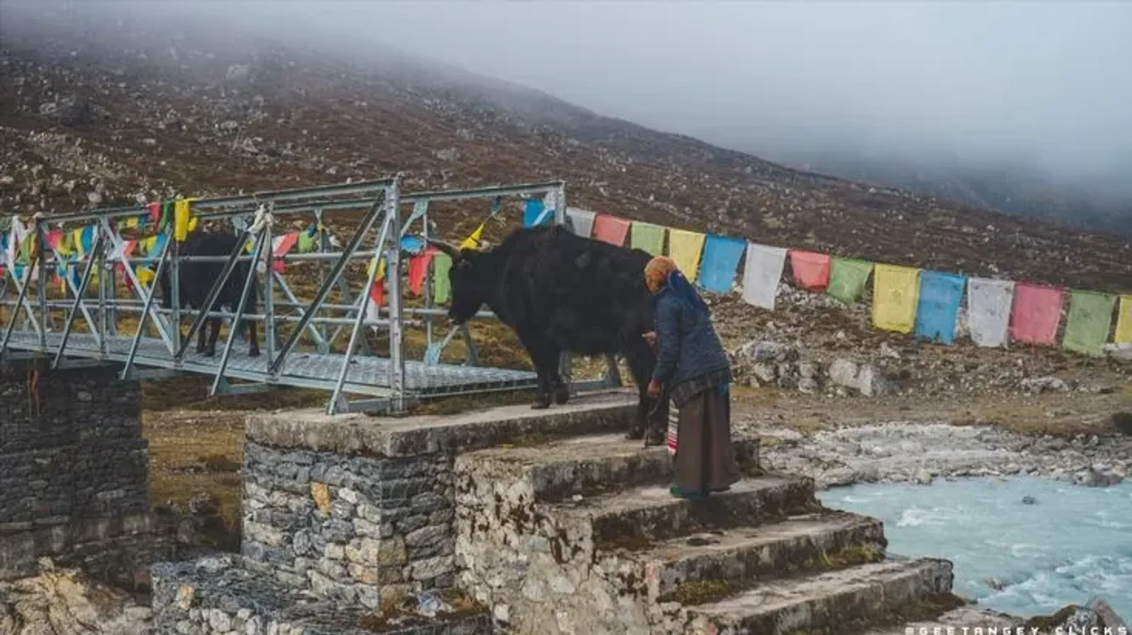 Tsho Rolpa Lake Trek – 9 Days - Image - 28225