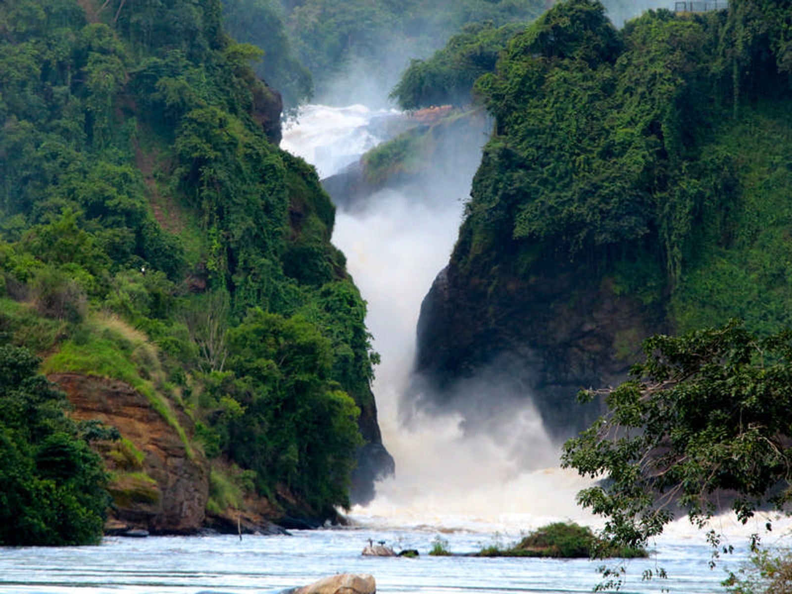 Ultimate 8-Day Uganda Safari: Gorillas, Chimps, Rhinos & Nile River Adventures - Image - 3678