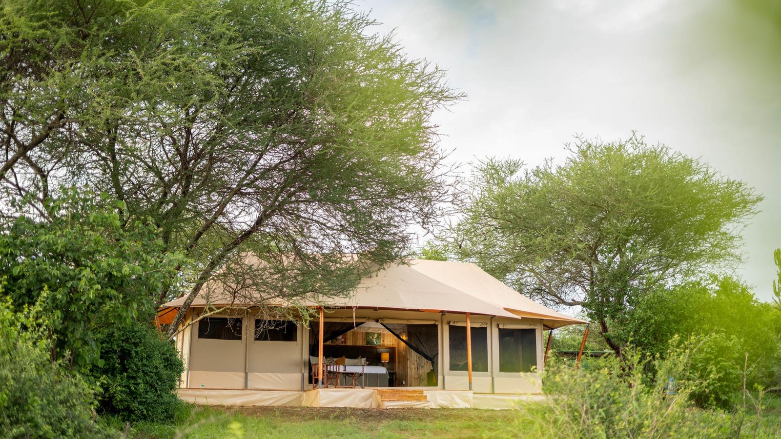 12 DAYS TANZANIA WILDLIFE TO ZANZIBAR BEACH ESCAPE - Image - 7623