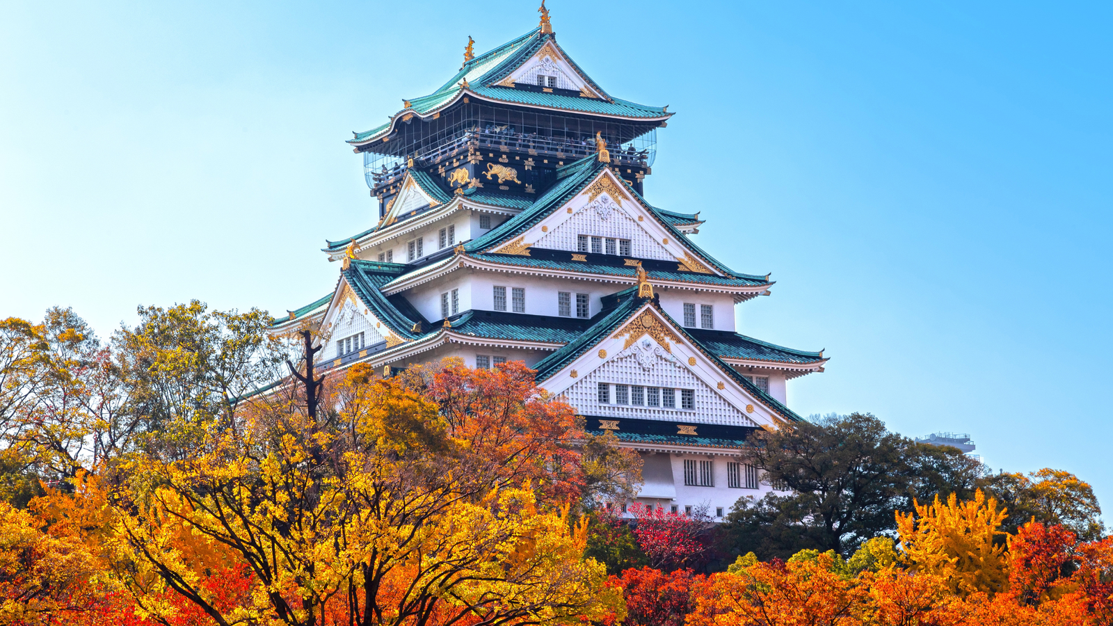 6N5Đ - TOKYO - FUJI - NAGOYA - KYOTO - OSAKA - Image - 27775