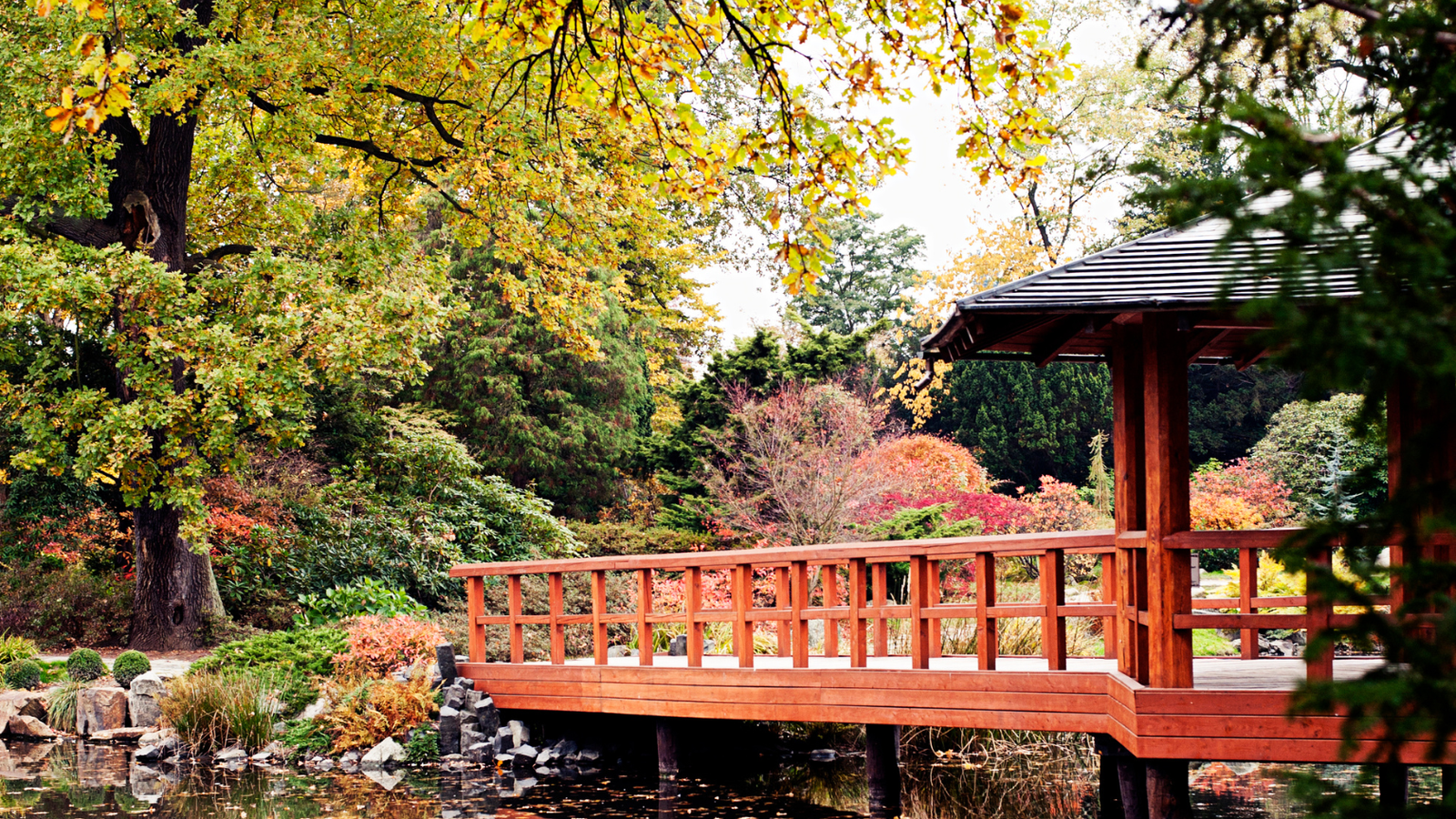 6N5Đ - TOKYO - FUJI - NAGOYA - KYOTO - OSAKA - Image - 27777