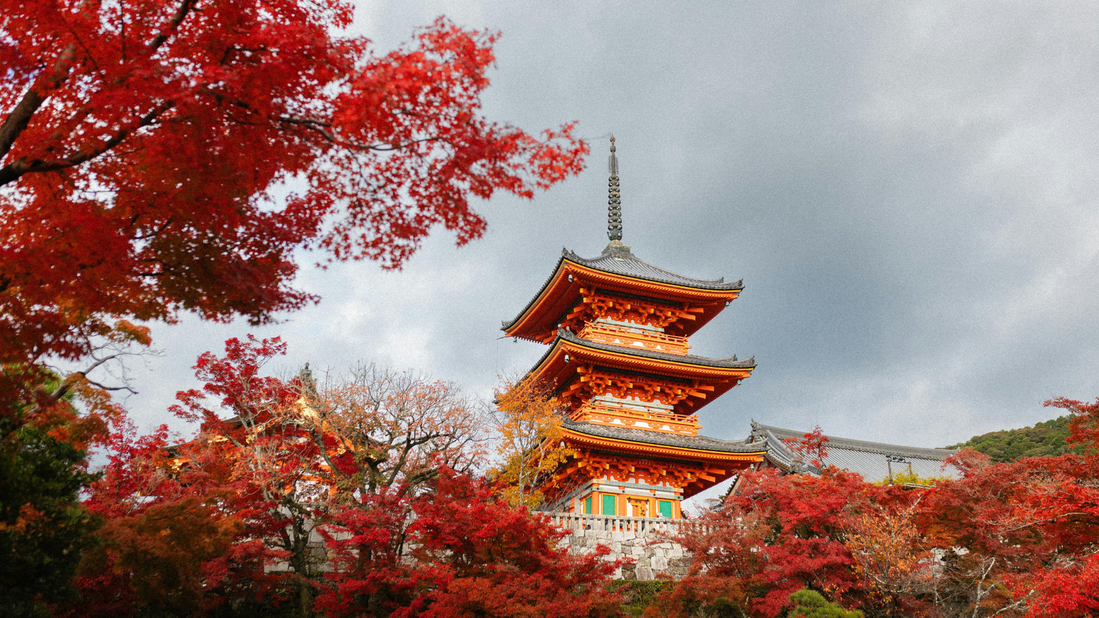 6N5Đ - TOKYO - FUJI - NAGOYA - KYOTO - OSAKA - Image - 27776