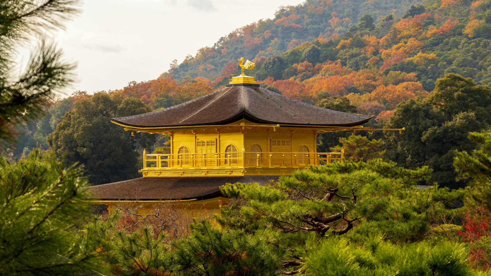 6N5Đ - OSAKA - KOBE - KYOTO - NAGOYA - FUJI - TOKYO - Image - 27784