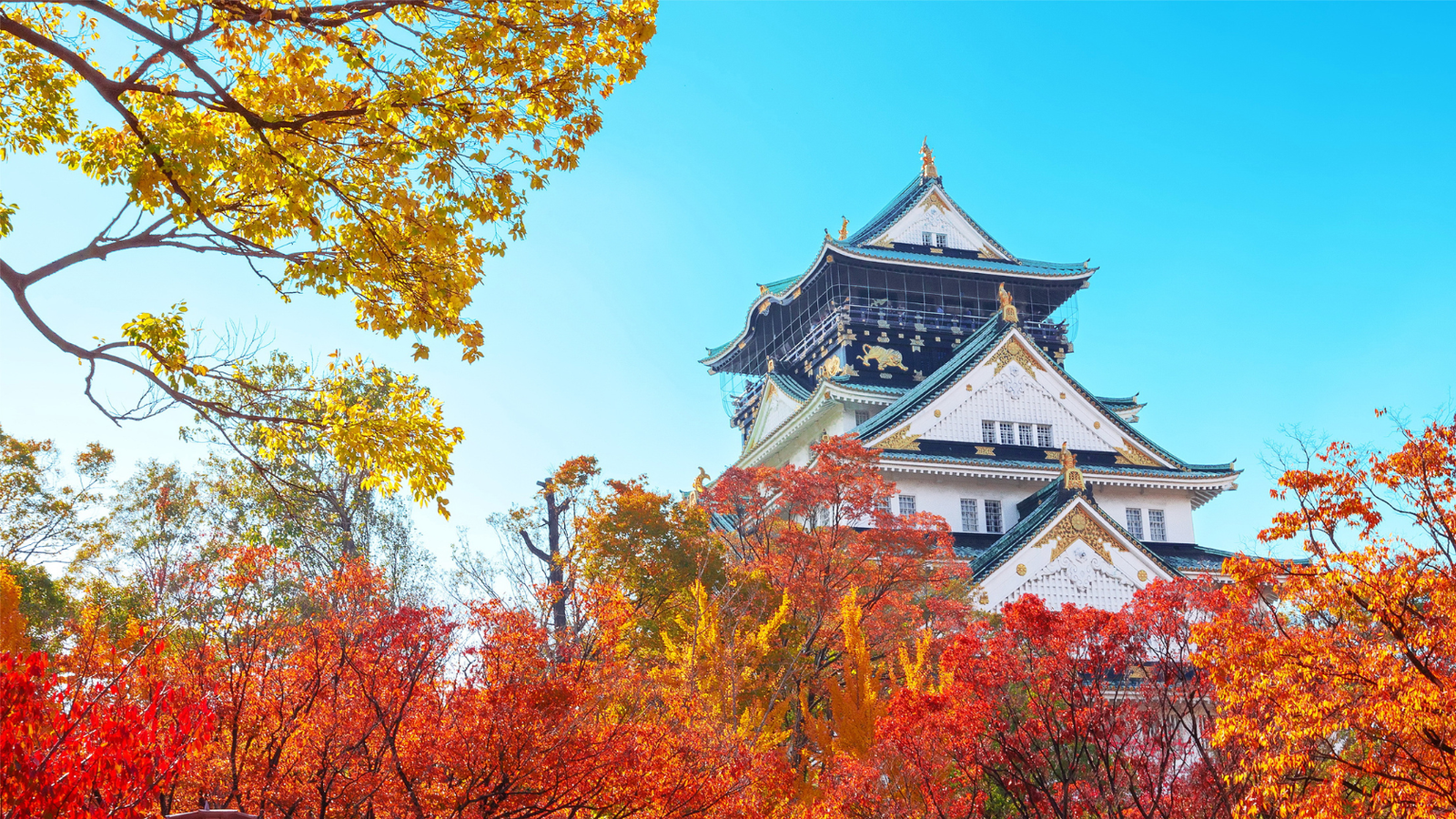 6N5Đ - OSAKA - KOBE - KYOTO - NAGOYA - FUJI - TOKYO - Image - 27782