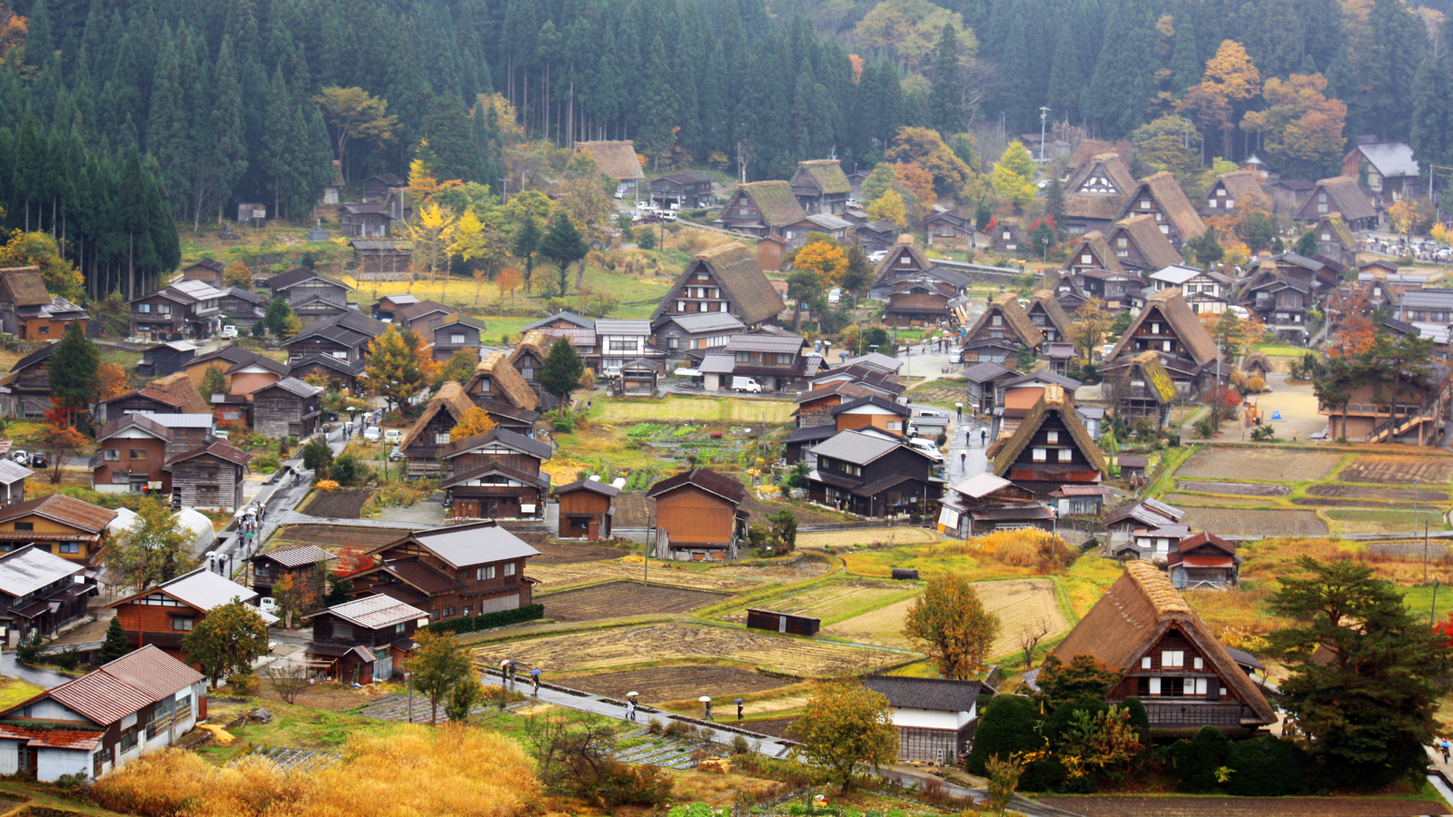 6N5Đ - CUNG ĐƯỜNG CỔ TÍCH SHIRAKAWAGO MÙA THU 2026 - Image - 27789