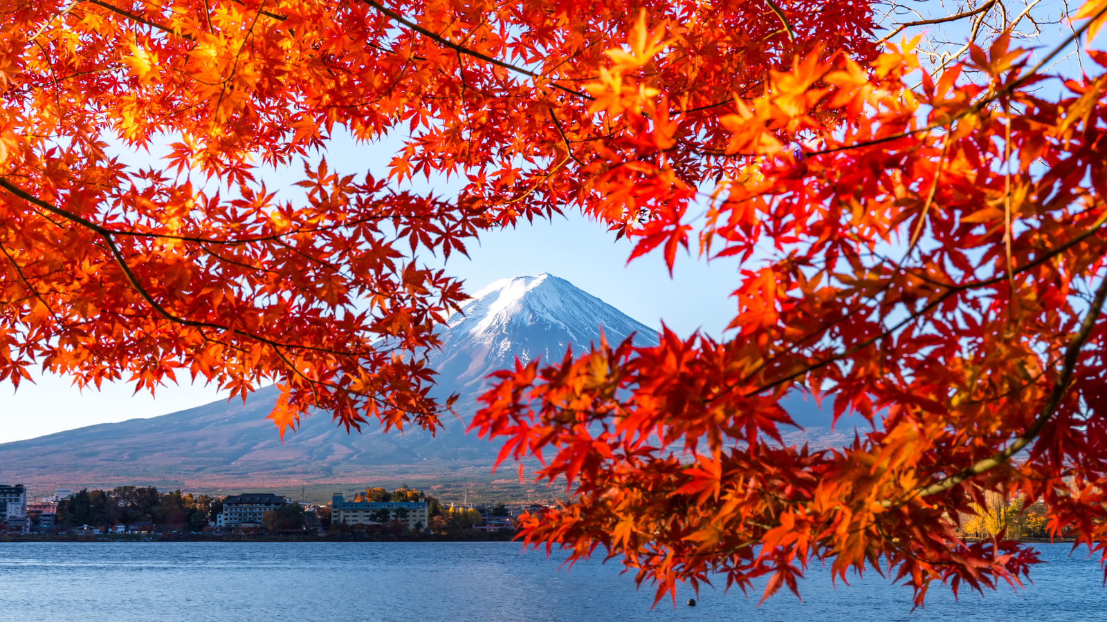 6N5Đ - CUNG ĐƯỜNG CỔ TÍCH SHIRAKAWAGO MÙA THU 2026 - Image - 27786
