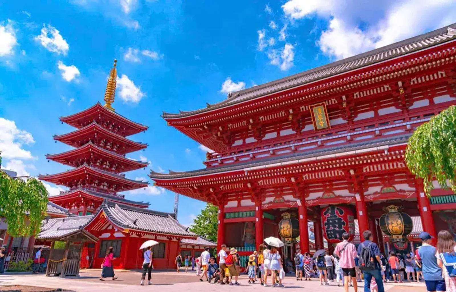 Tour Nhật Bản Tokyo Fuji 5 ngày 4 đêm - Image - 843