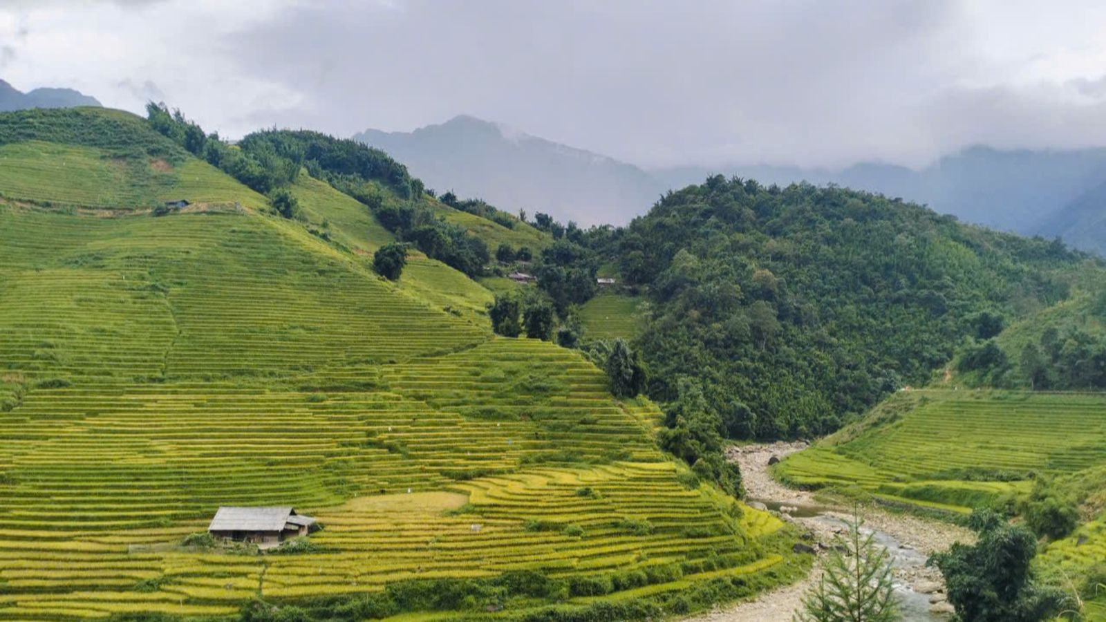 HANOI – SAPA – CATCAT – FANSIPAN – MOANA CHECKIN POINT – HANOI (3 DAYS - 2 NIGHTS) - Image - 13949