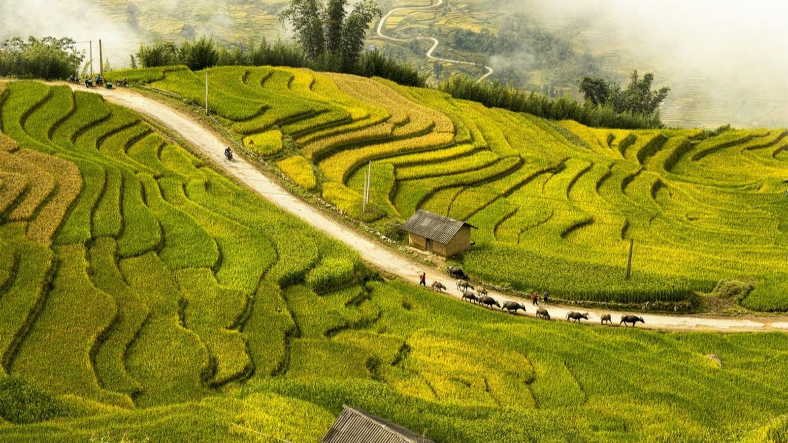 HANOI – SAPA – CATCAT – FANSIPAN – MOANA CHECKIN POINT – HANOI (3 DAYS - 2 NIGHTS) - Image - 13966