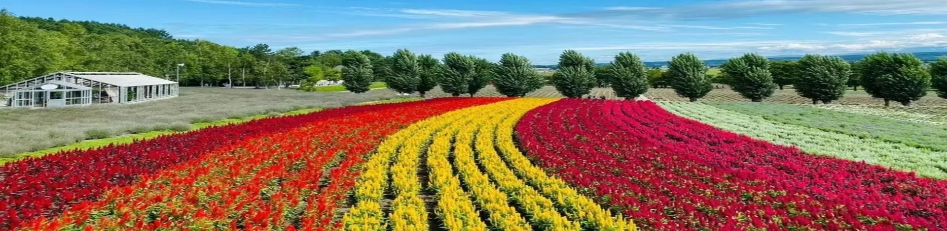 8D 7N/6N COLOURFUL HOKKAIDO - Image - 1020