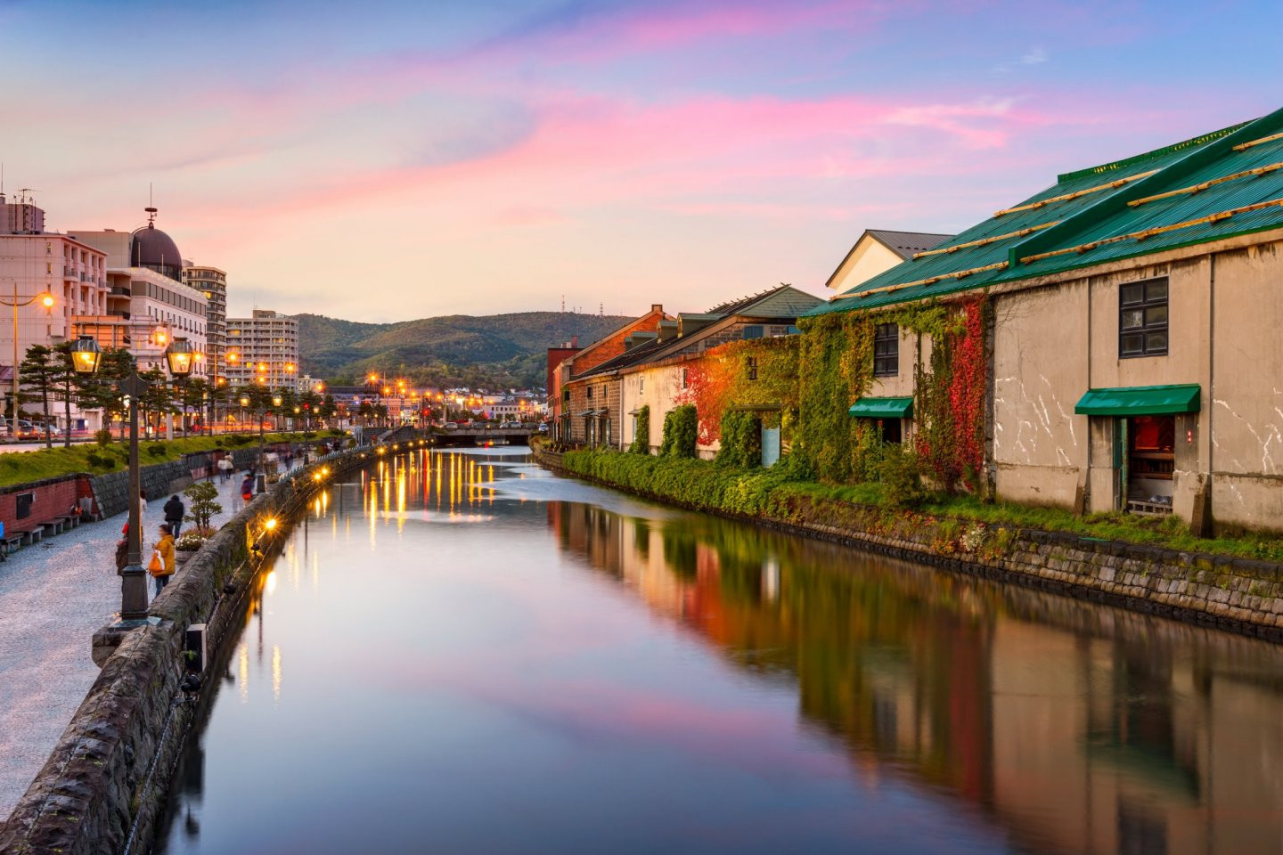 8D6N Classic Hokkaido - Image - 1003