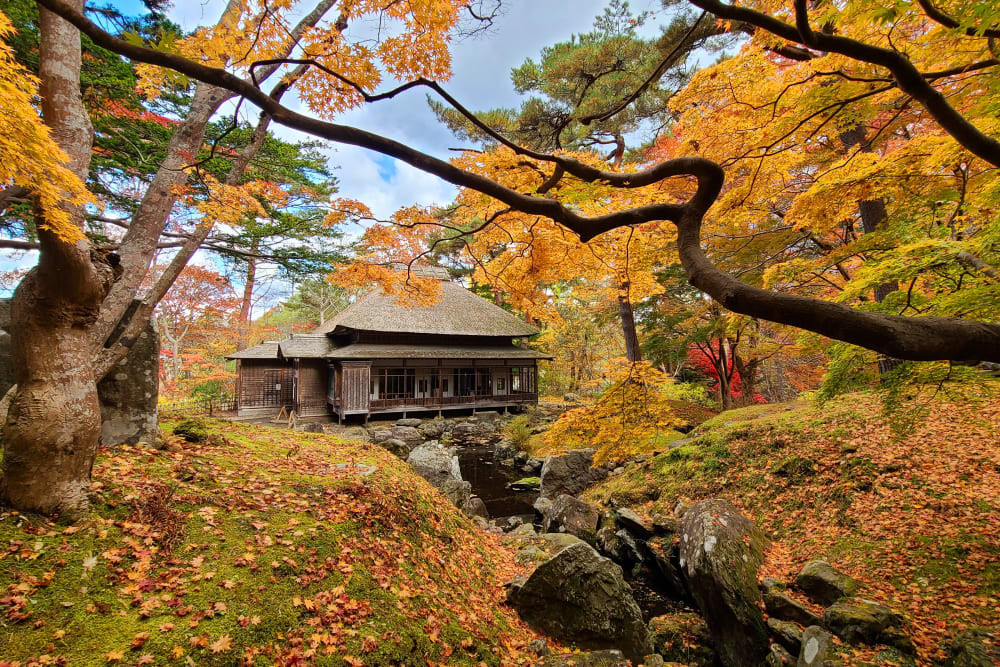 8D6N Classic Hokkaido - Image - 1001