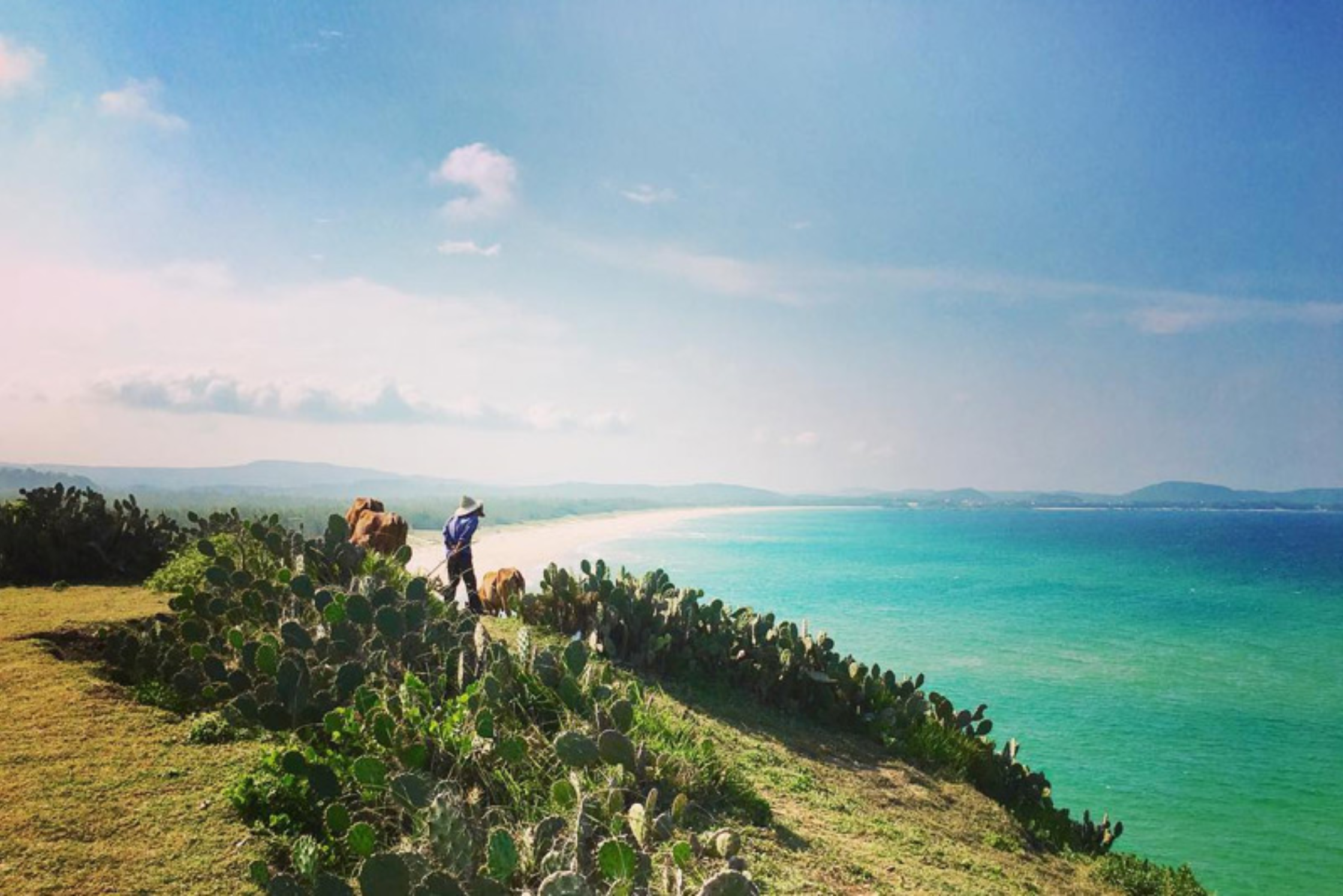 Quy Nhon - Phu Yen: Ghenh Rang Tien Sa - Hon Kho - Cococamp - Ky Co - Eo Gio