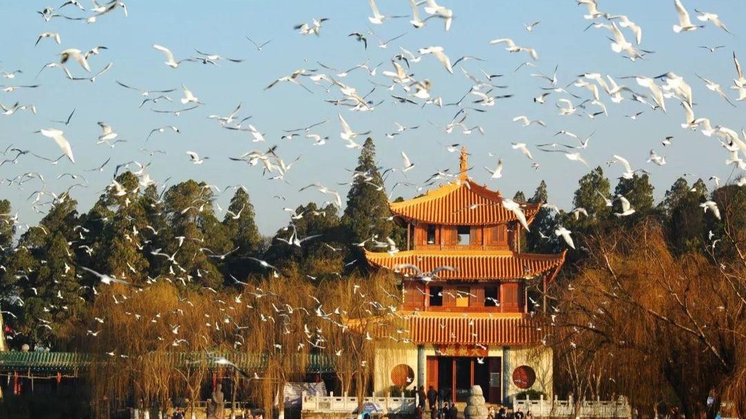 [NO SHOPPING 4N3Đ] TP HỒ CHÍ MINH - CÔN MINH MONO - Image - 13371