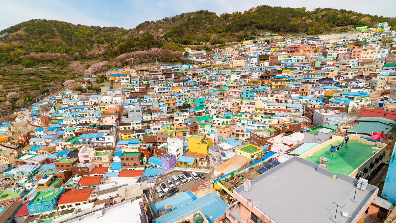Busan - Jeju 6N5Đ: Thiên Đường Biển Đảo – Hawaii xứ Hàn - Image - 13424