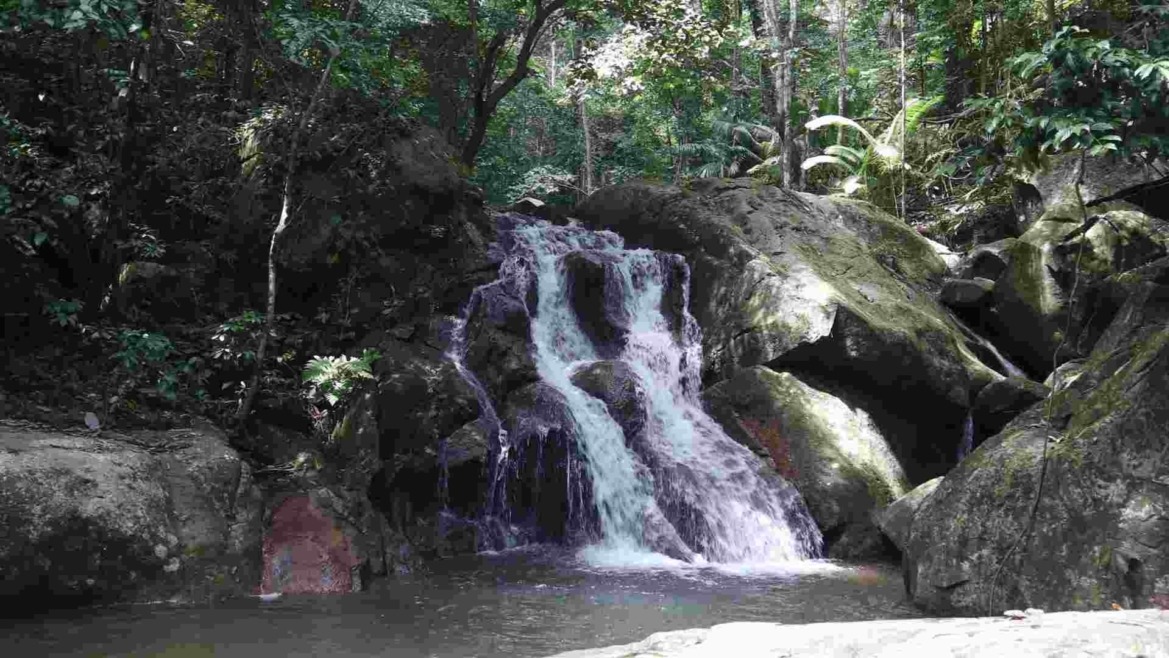 KHÁM PHÁ ĐẢO RỒNG TIOMAN 5N4Đ: Lặn ngắm san hô – bơi cùng cá Nemo - Image - 19137