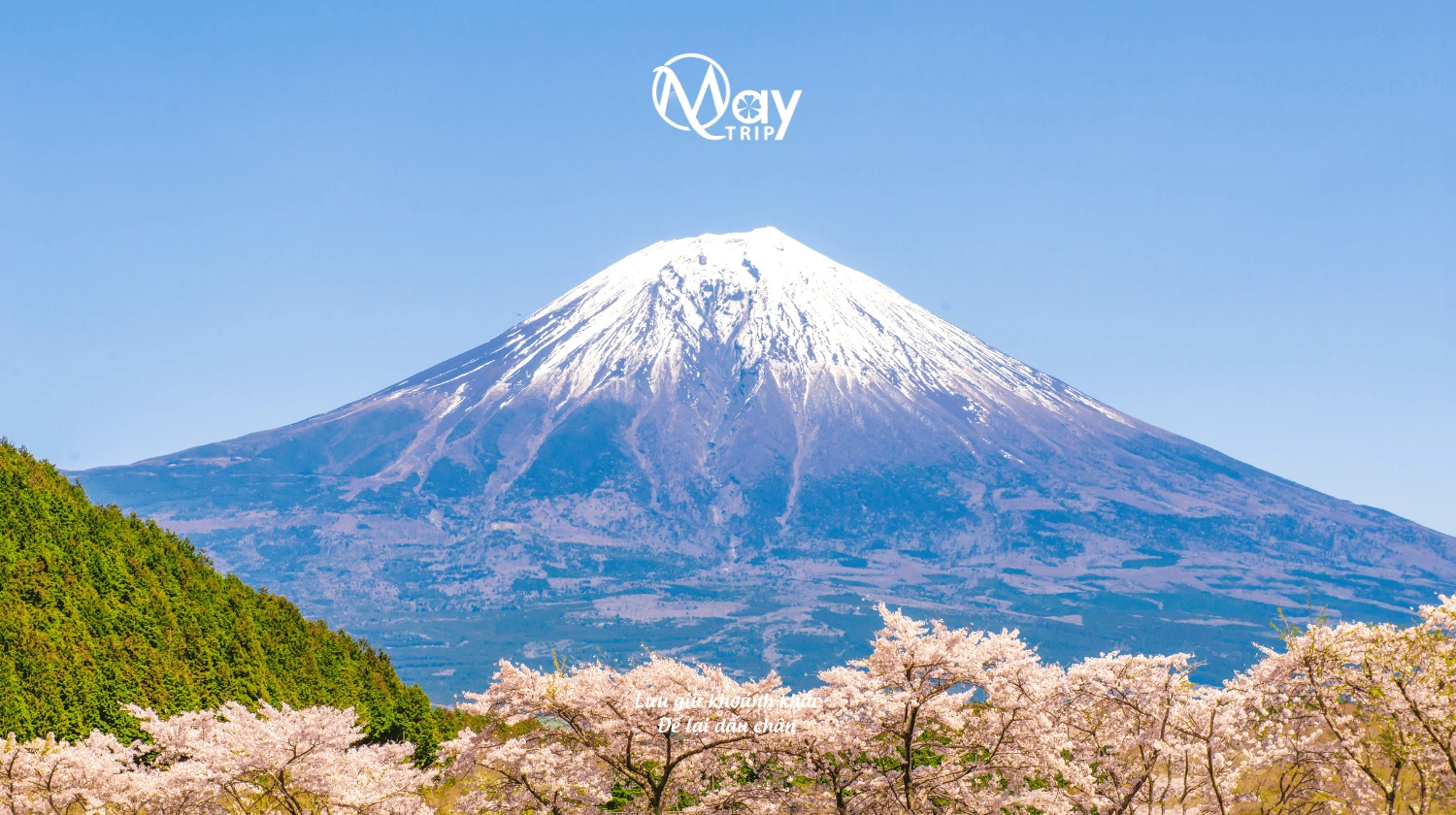 tokyo--mount-fuji-japan-discovery-tour-2025