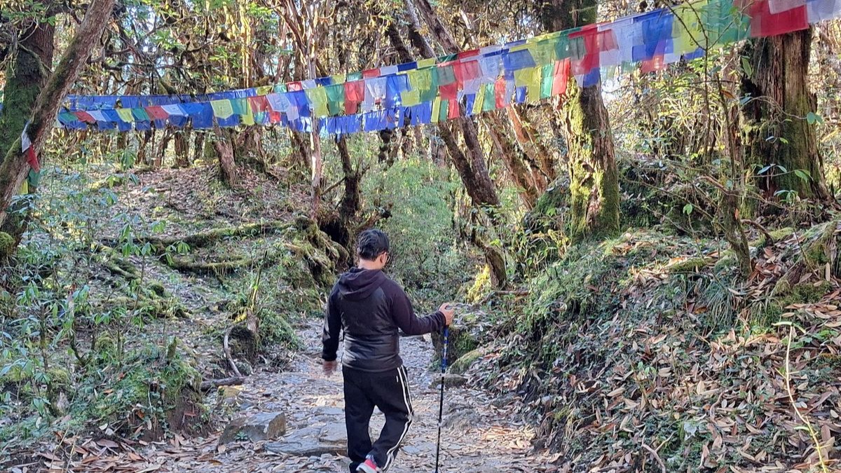 Ama Yangri Trek 1 Night 2 Days - Image - 17839