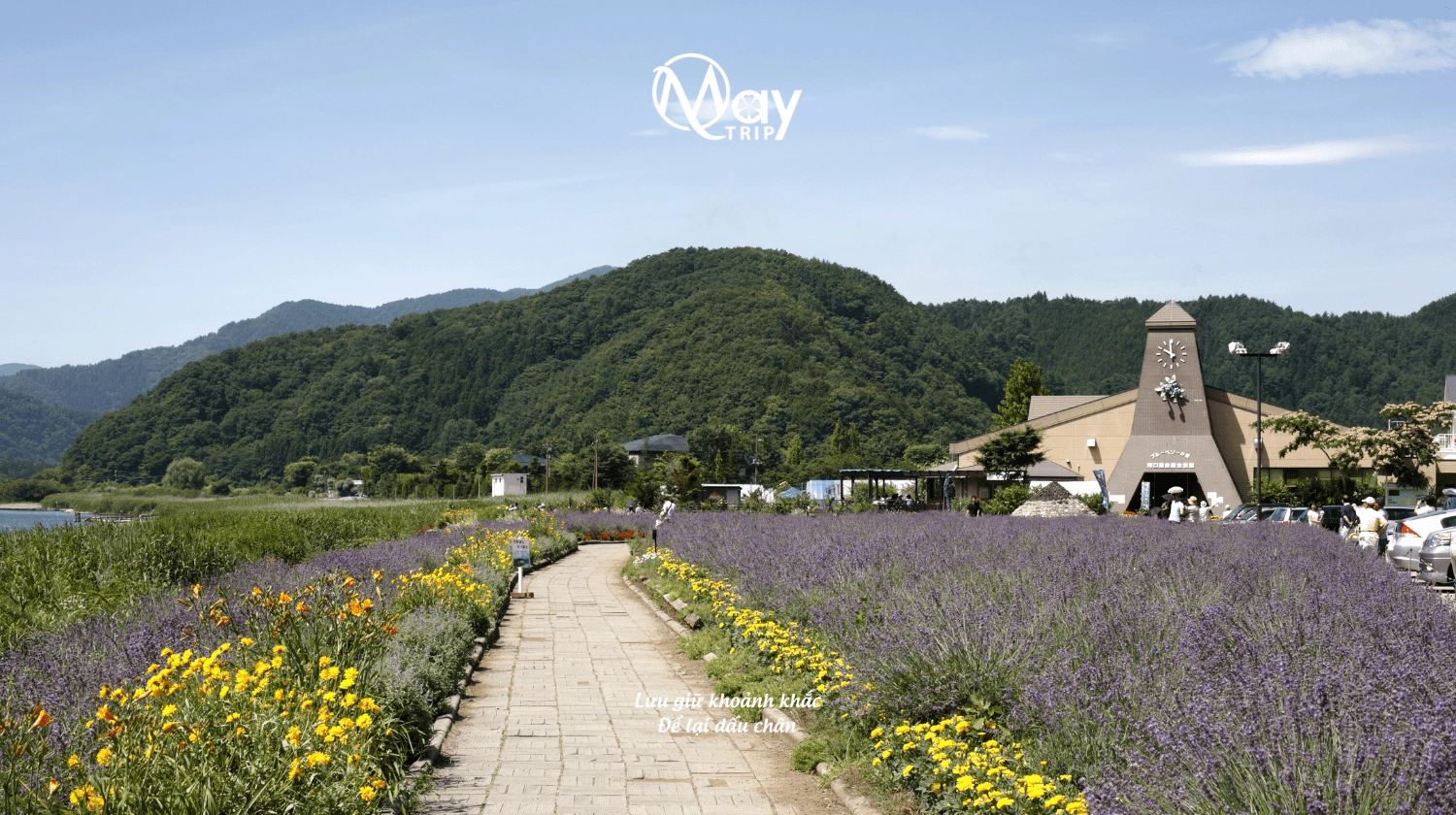 Tokyo – Mount Fuji Japan Discovery Tour 2025
