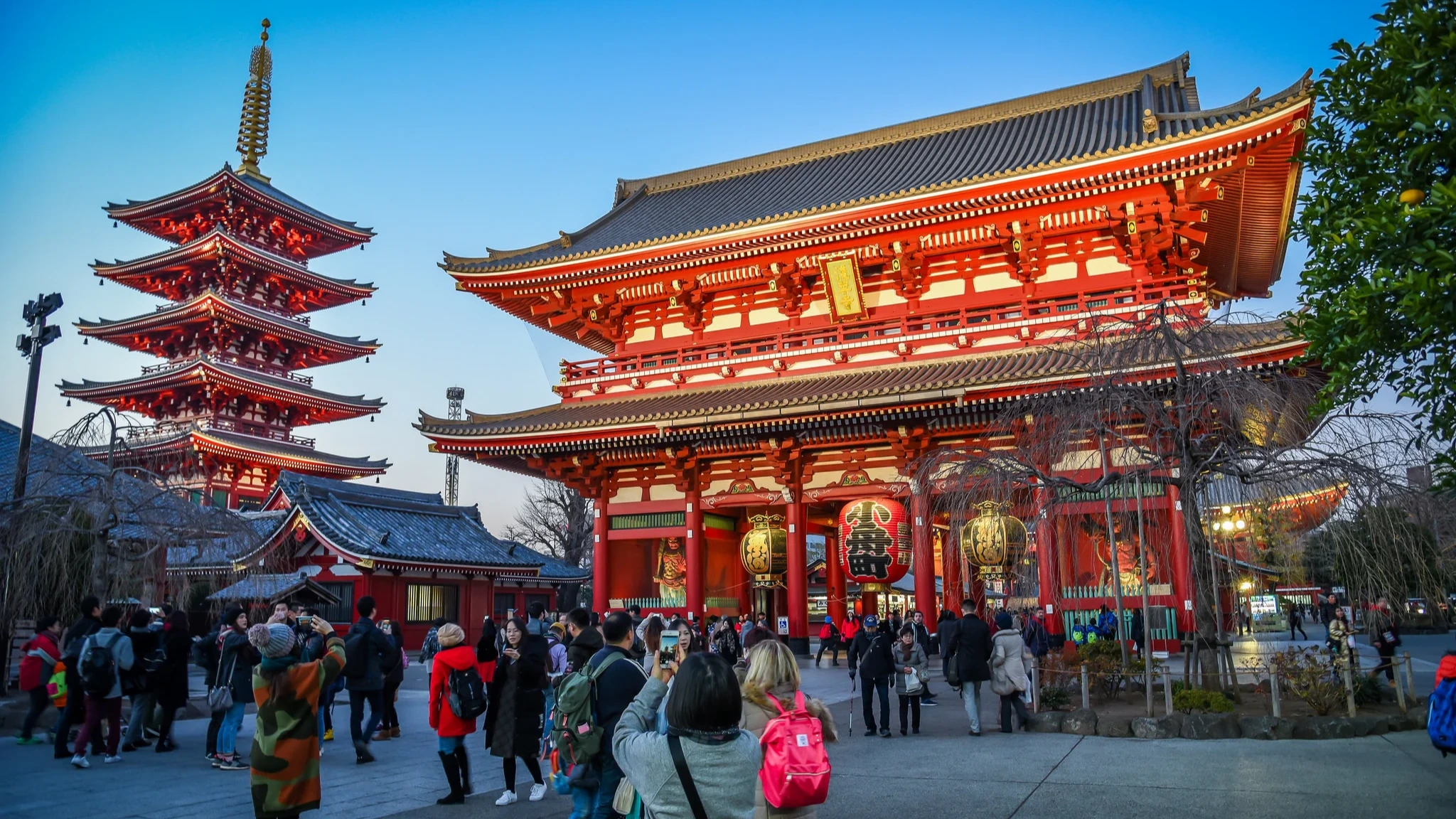 CĐV NHẬT BẢN 2026 - TOKYO- NÚI PHÚ SỸ- KYOTO- OSAKA NO SHOPPING 6N5Đ - Image - 19038