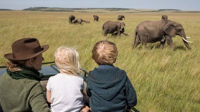 5 Days / 4 Nights Amboseli, Tsavo West & Tsavo East Safari - Image - 14466
