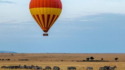5 Days / 4 Nights Lake Nakuru, Naivasha & Maasai Mara - Image - 14055