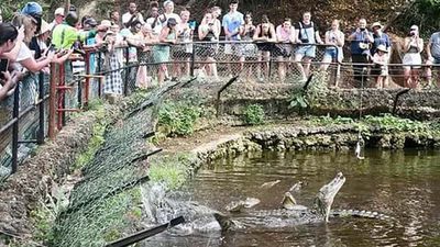 Mombasa: Half-Day Haller Park Giraffes Feeding Guided Experience - Image - 8736