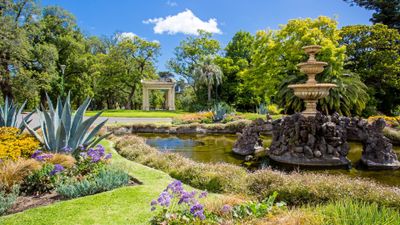 HÀ NỘI – SYDNEY – CANBERRA - MELBOURNE - HÀ NỘI - Image - 8346