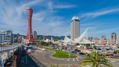 [HOT] Tour Nhật Bản Mùa Hoa Anh Đào Bán Chạy Nhất 2026: Osaka - Kobe - Kyoto - Nagoya - Núi Phú Sĩ - Tokyo 6N5Đ - Image - 9139