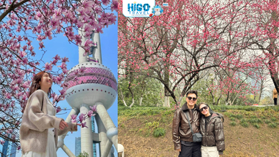 THƯỢNG HẢI – TÔ CHÂU - HÀNG CHÂU - Ô TRẤN HOA ANH ĐÀO (OPTION DISNEYLAND) CÓ SHOPPING - Image - 10110