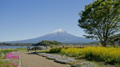 HÀ NỘI – NAGOYA – KYOTO – OSAKA – KOBE - TOKYO - Image - 8403